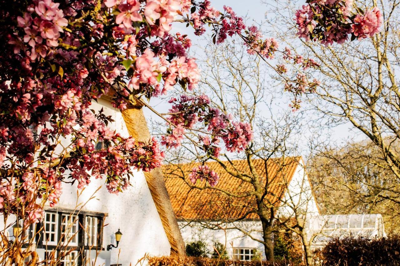 Truyenhof Bed & Breakfast Bree Dış mekan fotoğraf