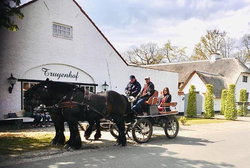 Truyenhof Bed & Breakfast Bree Dış mekan fotoğraf
