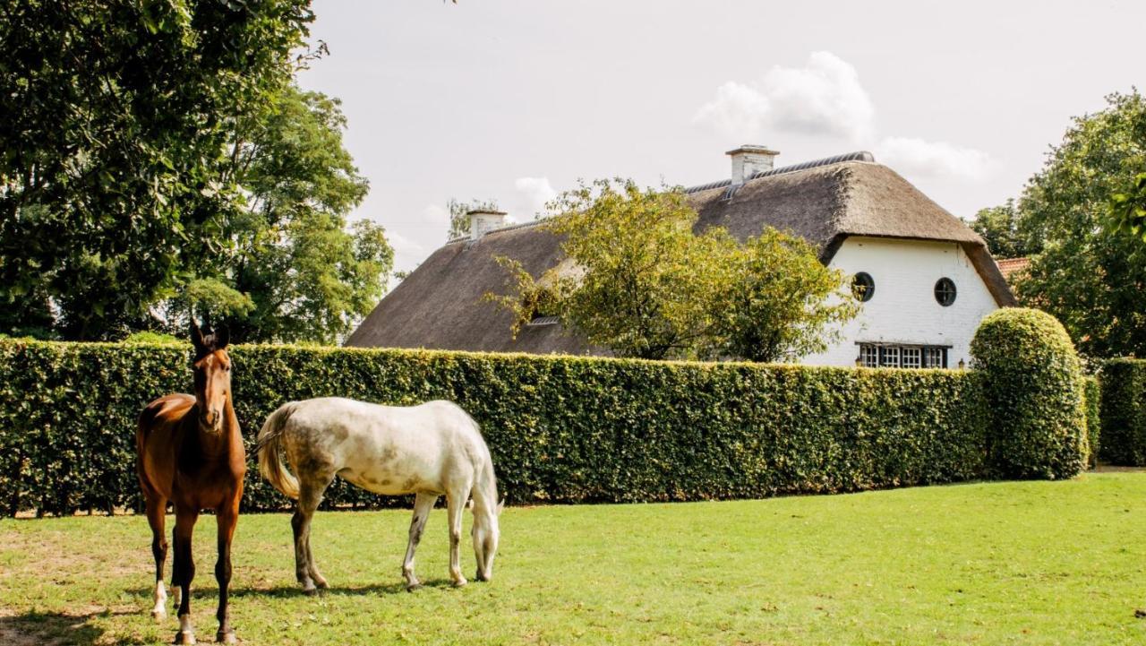 Truyenhof Bed & Breakfast Bree Dış mekan fotoğraf